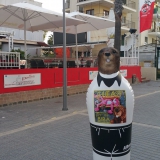 20190509_071112